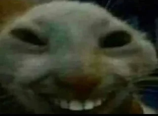 😂
