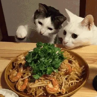 🍜