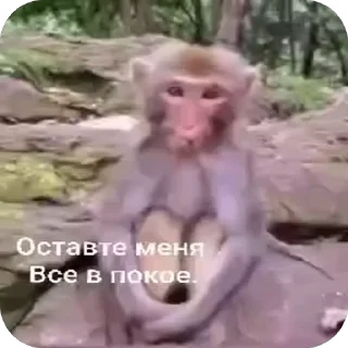 😞