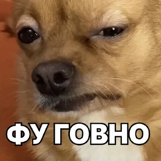 💩