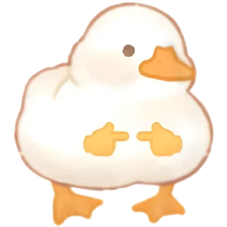 👉