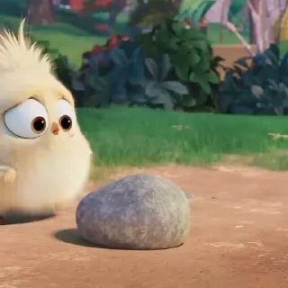 🐣