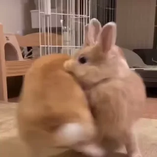 🥳