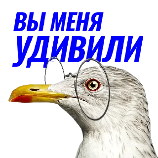 💬