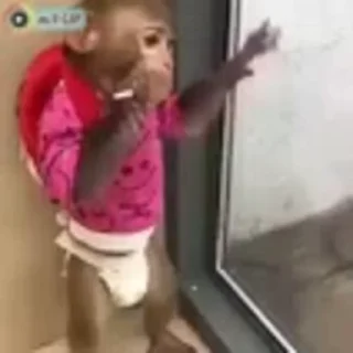 🍭