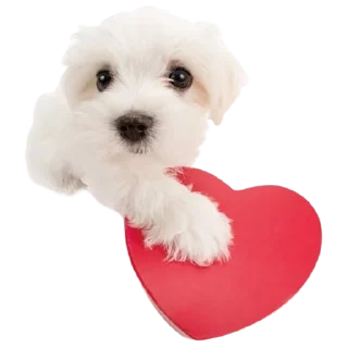 ❤️
