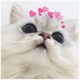 🤓