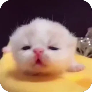 🥱