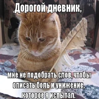 😶
