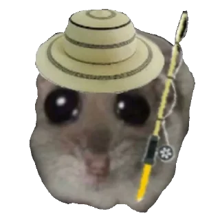 🎣