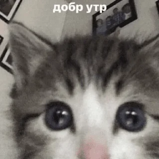 🥱