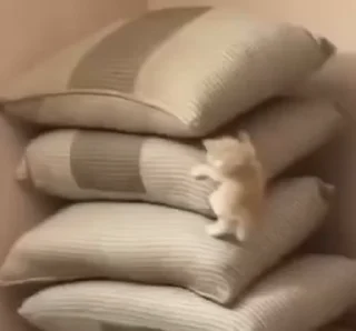 😶