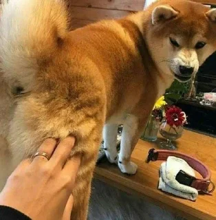 💓