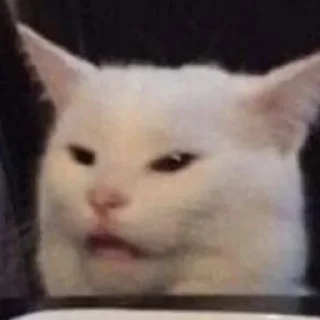 🤨