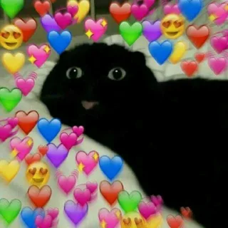 🌚