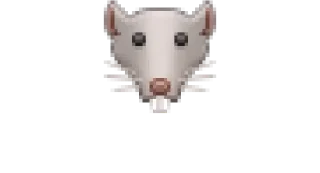 🐀