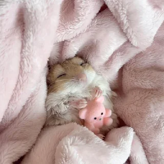 😴
