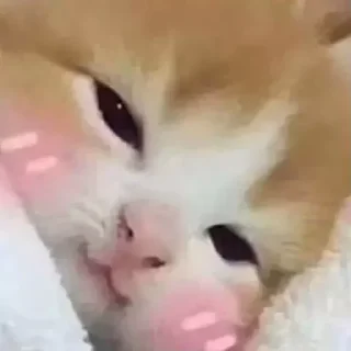 ☺️