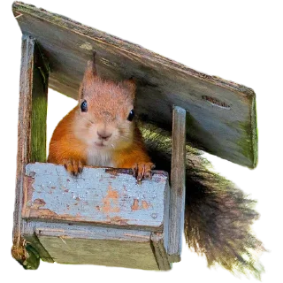 🏠