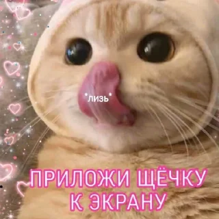 👅