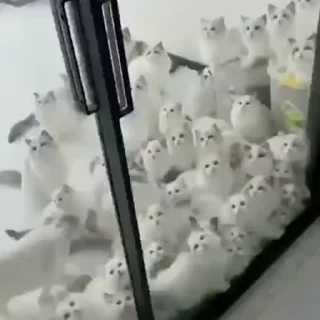 😁