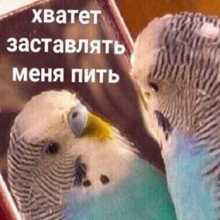 🍻