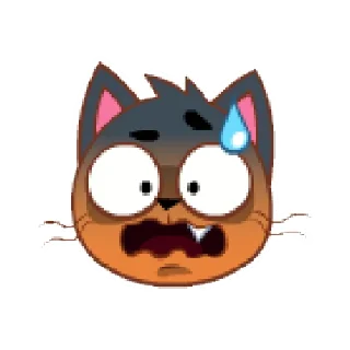 🙀