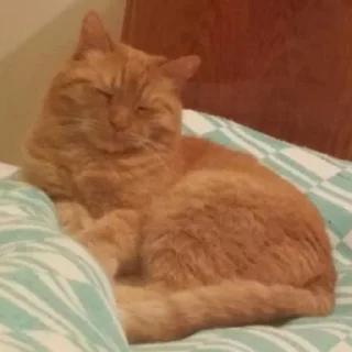 😴