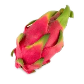 🧣