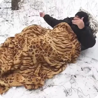 🌟