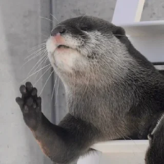 👋