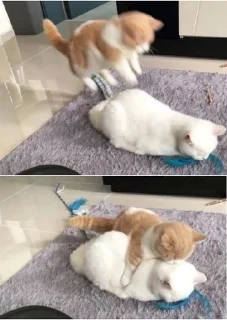 🤗