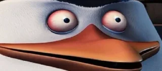 😳