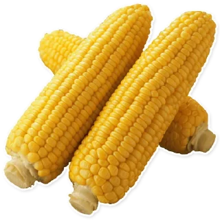 🌽