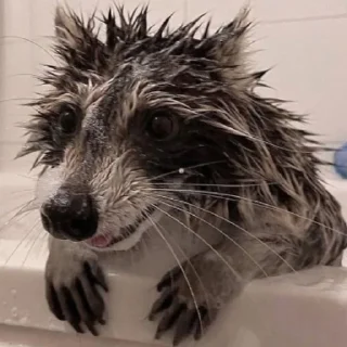 💦