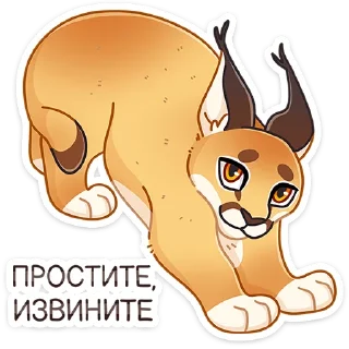😼