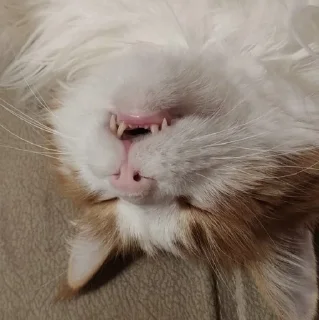 😵
