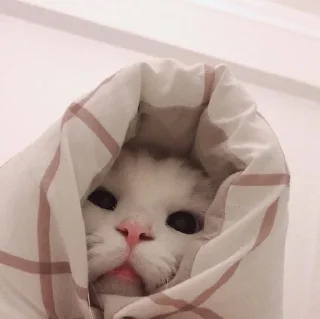 🥱