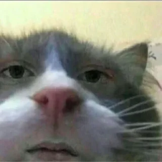😐