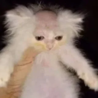 😐