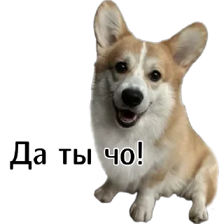 😁
