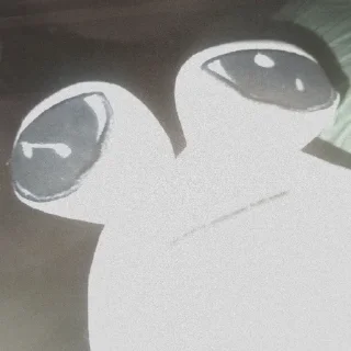 🤍