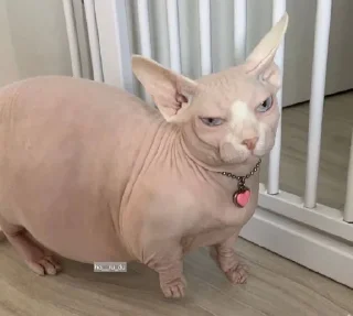 😔