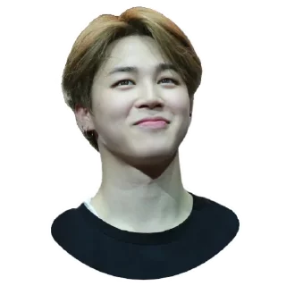 Jimin @Stickersey