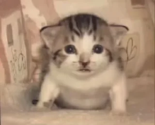 😍