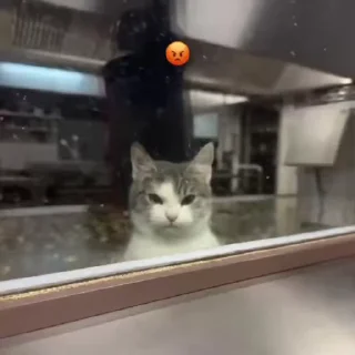 😡