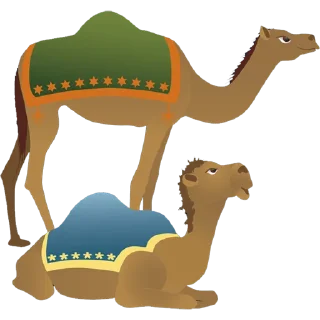🐪