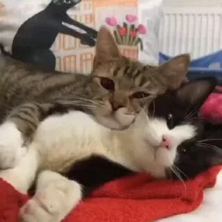 ❤️