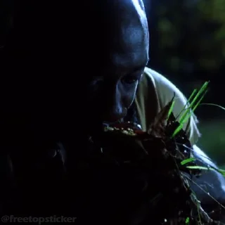 🌿