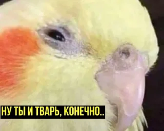 🤨